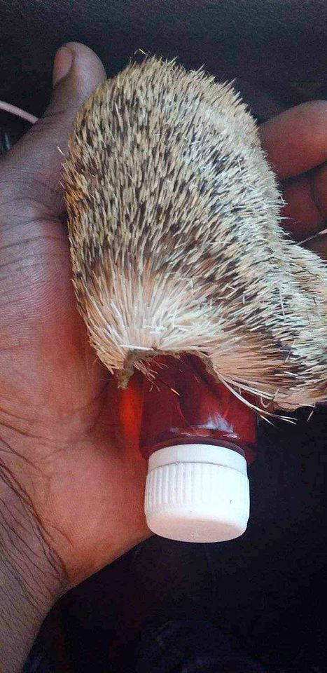 +27 74 116 2667 Sandawana oil and skin for Luck, Money and Business